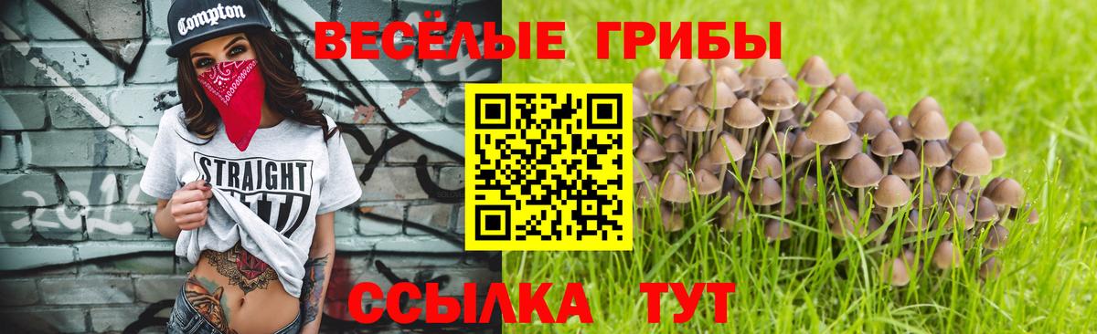 Галлюциногенные грибы Psilocybe  Вход с VPN  Нерюнгри 